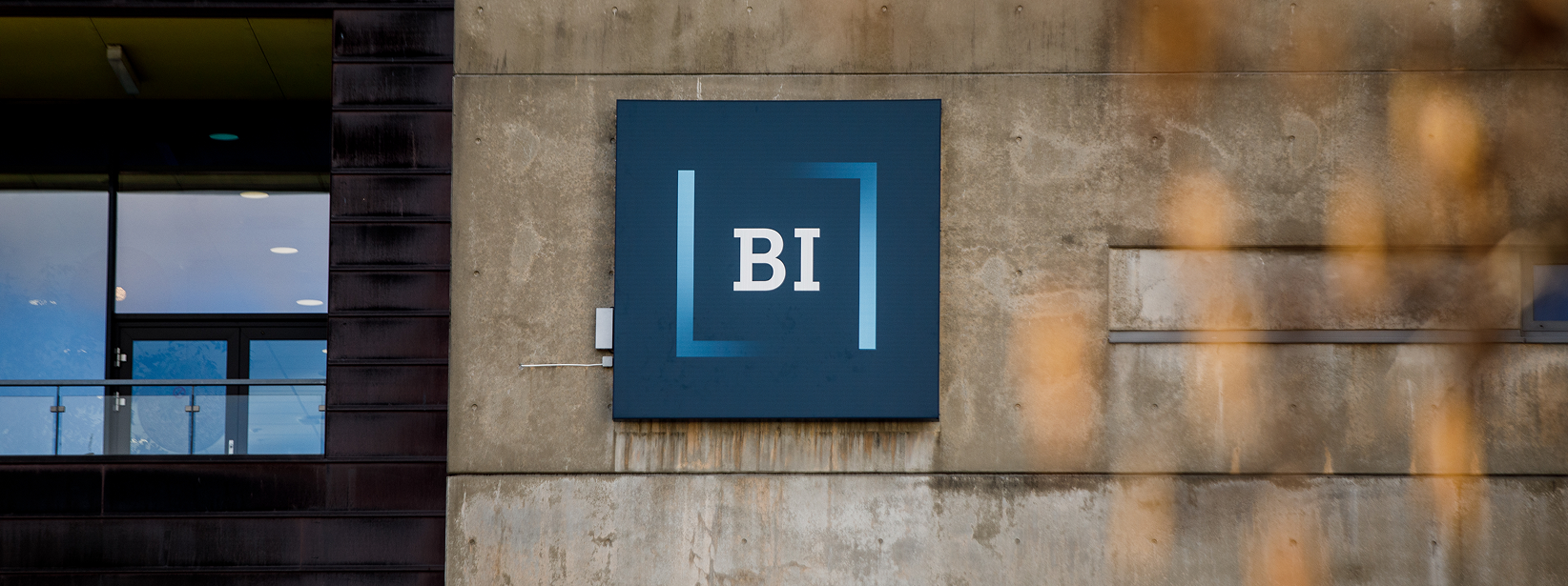 bi-norwegian-triple-strategic-foundation