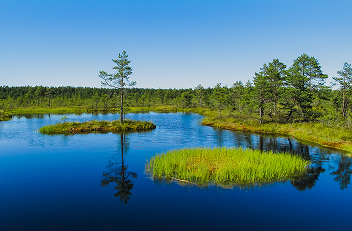 Life in Estonia 1